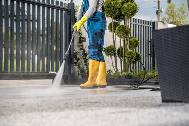 Best Window and Screen Pressure Cleaning in Kings Park, VA